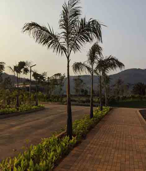 Godrej Plots Goa